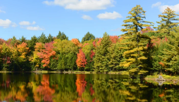 Pond at Caleb Smith State Park with trees in the fall