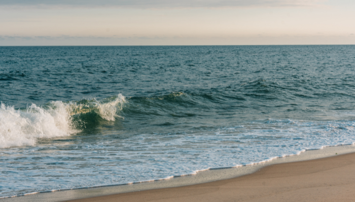 Shoreline of Hither Hills State Park