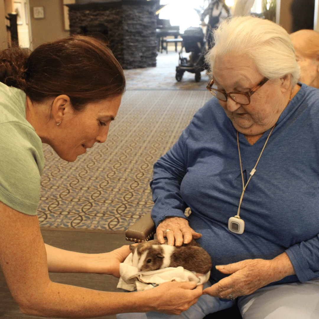 The party featured a petting zoo.