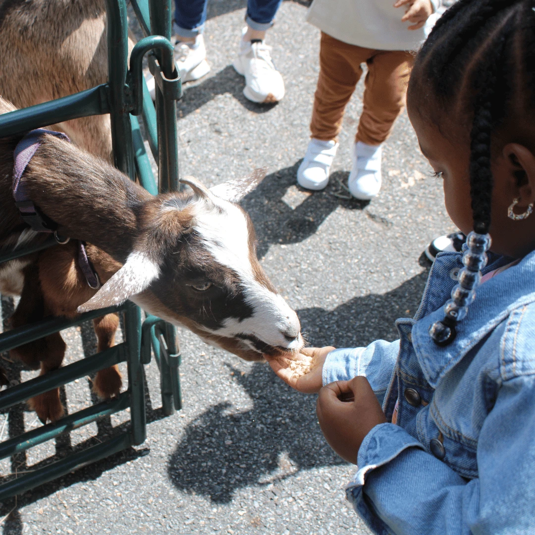 A petting zoo was a main attraction at The Bristal at Woodcliff Lake for Grandparents Day.