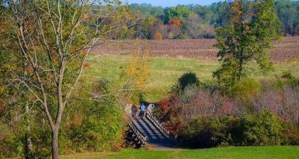 Monmouth Battlefield State Park