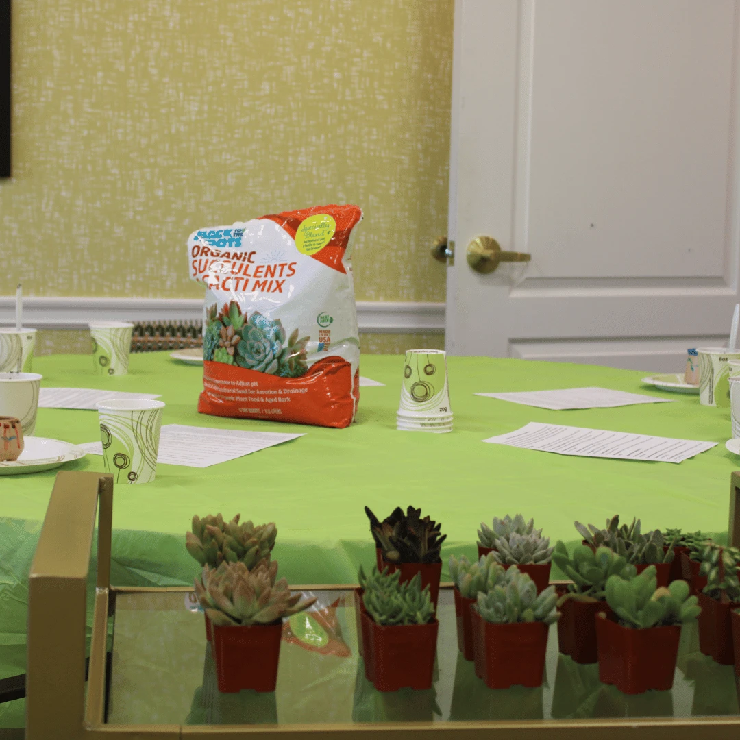 Residents chose a succulent to put in their pot after painting.