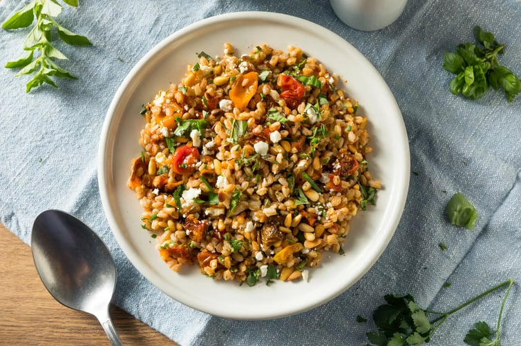 Farro Salad with Herb Vinaigrette