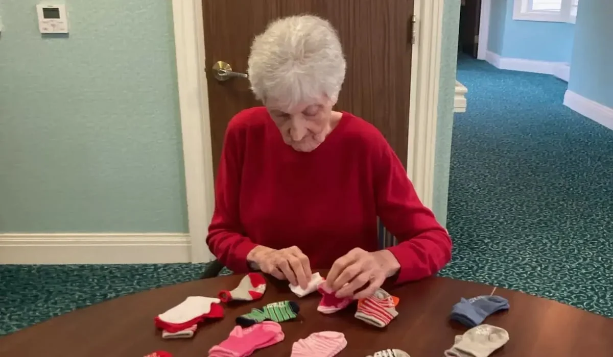 Life Skill Kit - Sorting - The Bristal