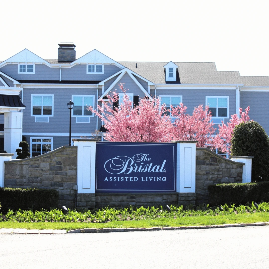 A cherry tree blooms outside of The Bristal at Mount Sinai in time for the Cherry Blossom Festival