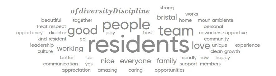 Great Place to Work 2026 - words most often used by The Bristal employees in their anonymous survey results