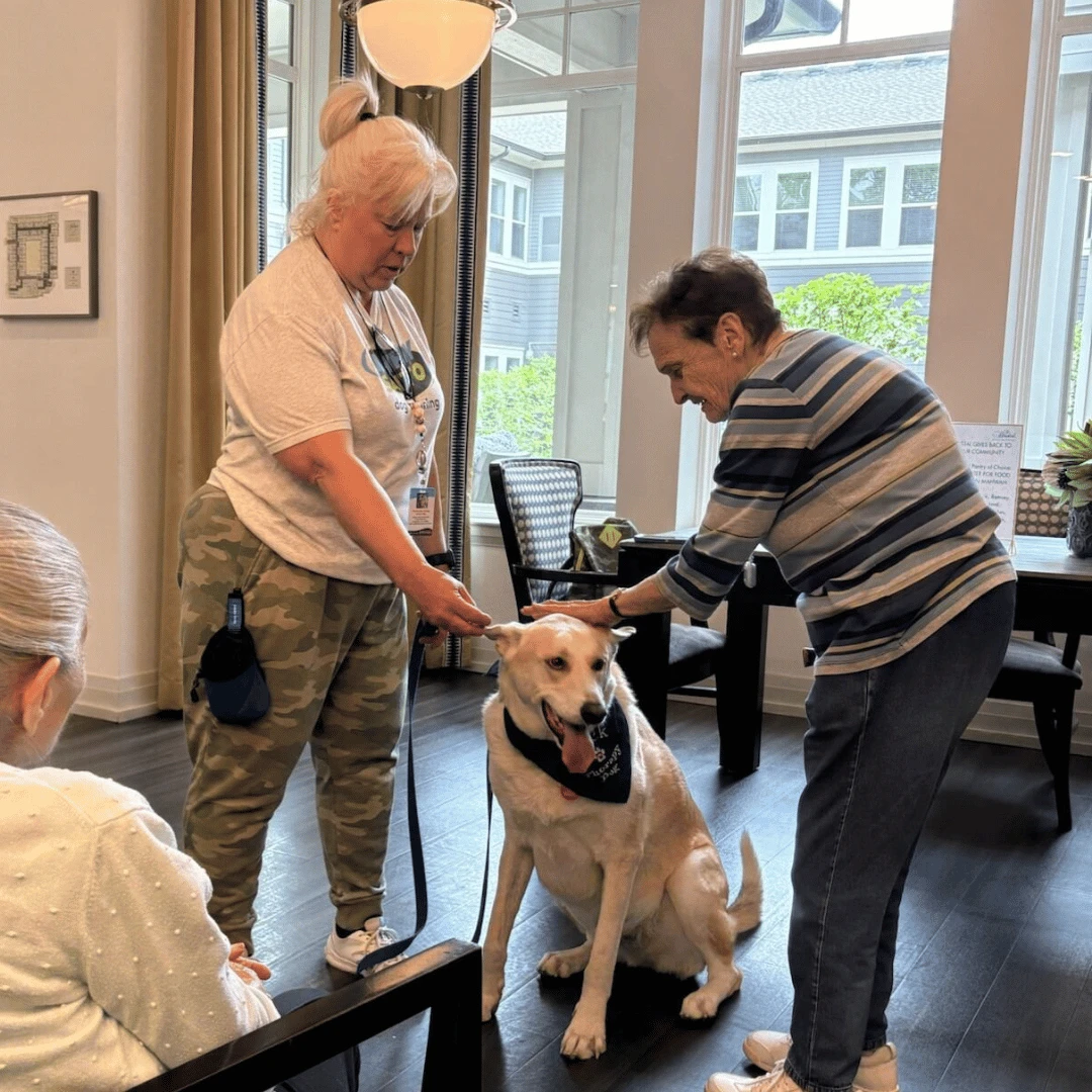 A visit from Jack the therapy dog at The Bristal at Waldwick