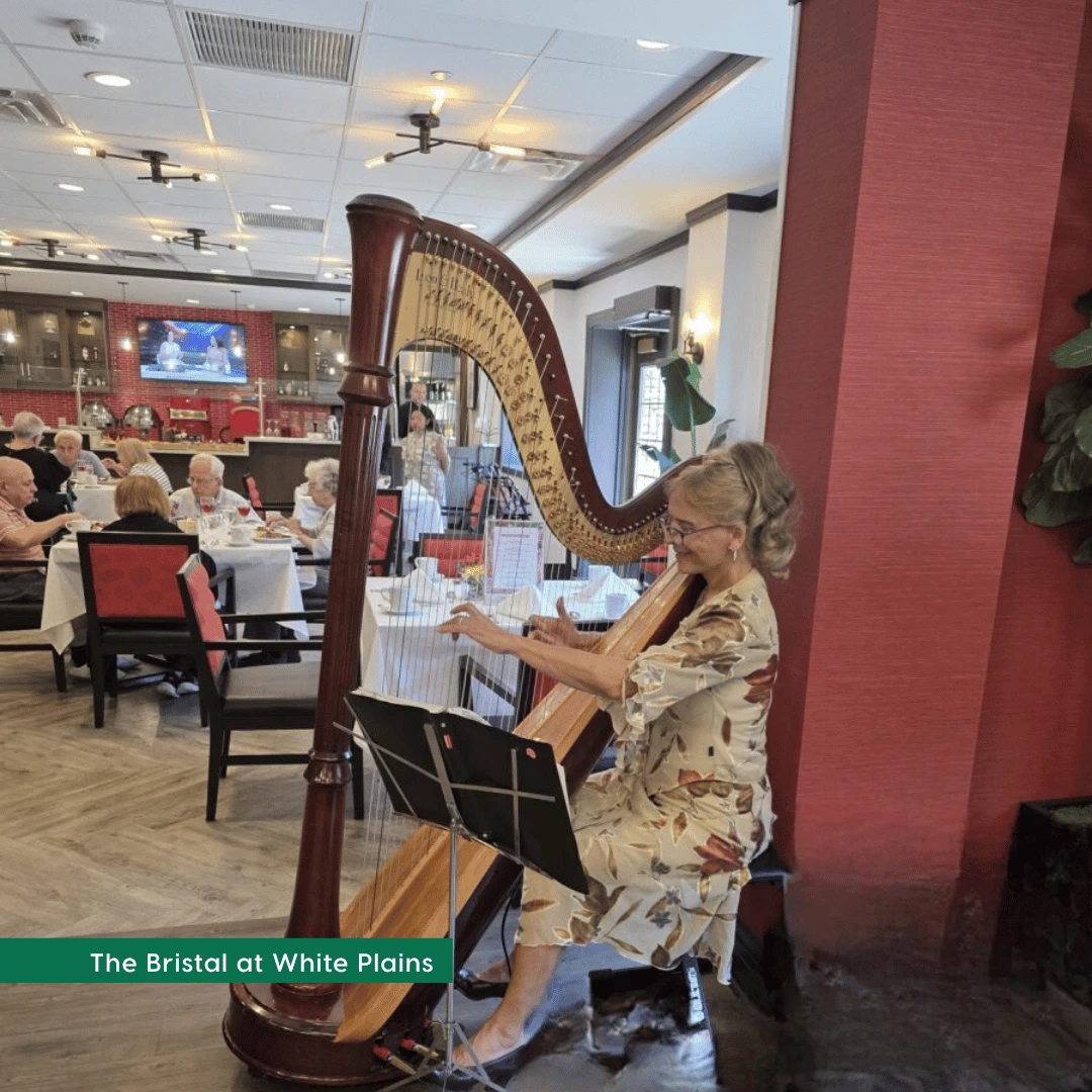 The Bristal at White Plains welcomed guests with beautiful harp music to accompany an elegant afternoon dining occasion.