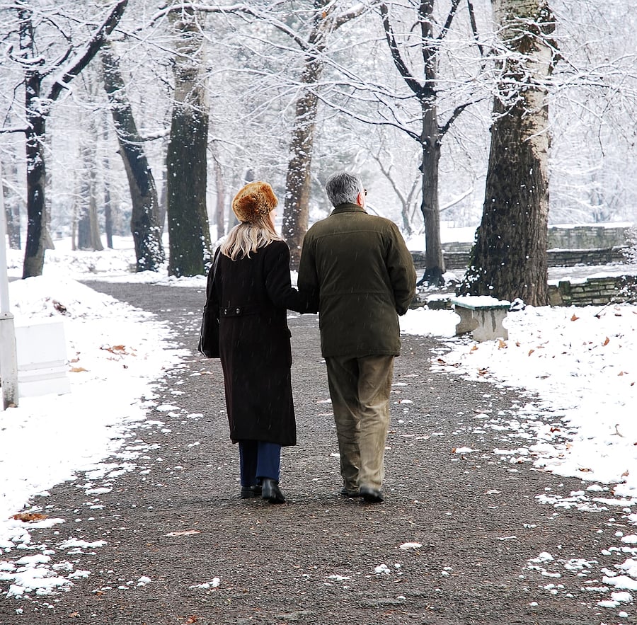 bigstock-Senior-couple-walking-at-the-p-1433334