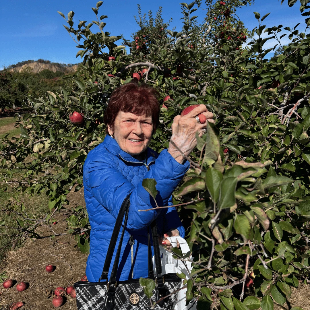 A resident of The Bristal at Waldwick picks an apple from the tree