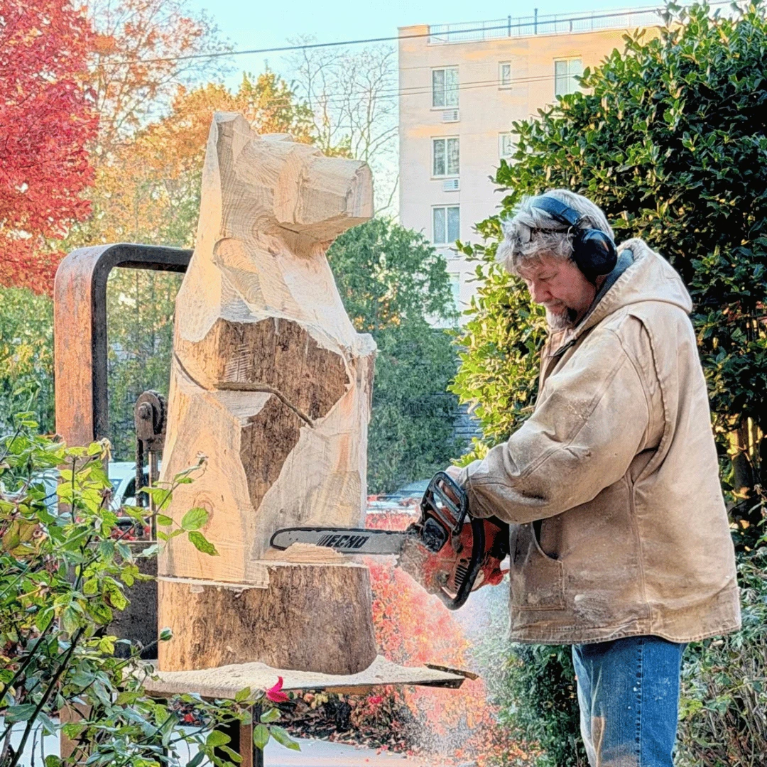 Wood carver visits The Bristal at Westbury