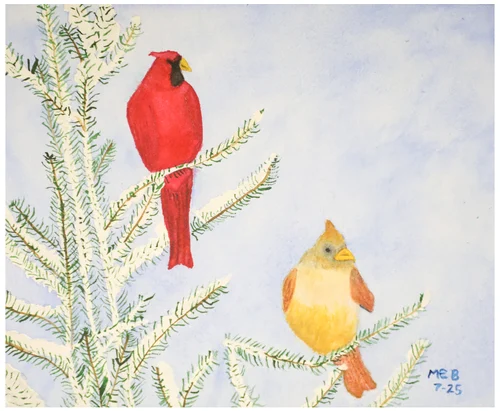 Massapequa_Michael B_2-1-1