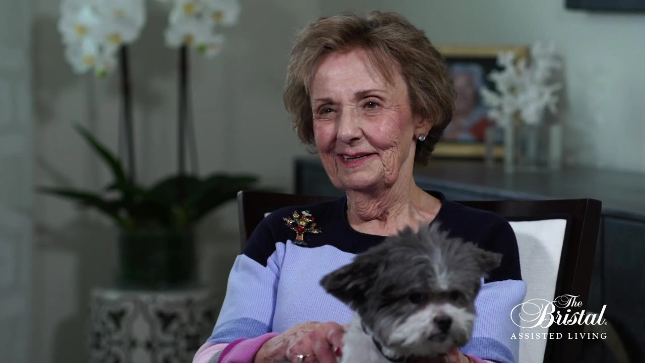 The Bristal Video Testimonials